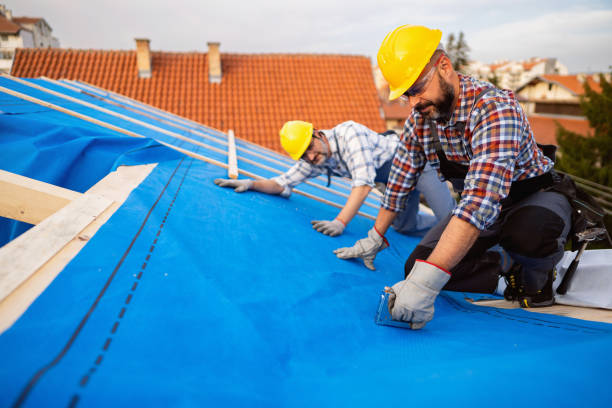 Roof Gutter Cleaning in Montrose, PA